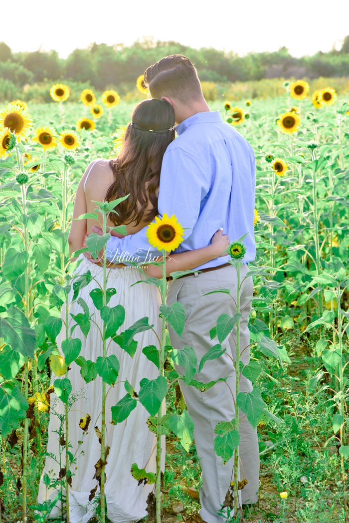Florida Sunflower Engagement Photos