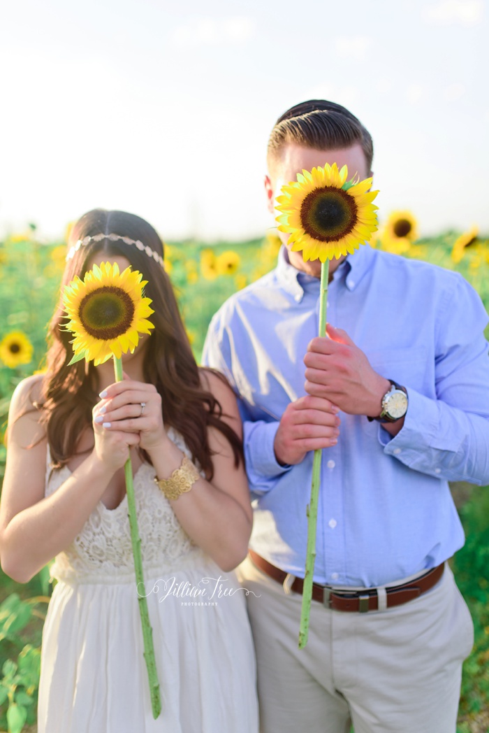 sunflower engagement photographs