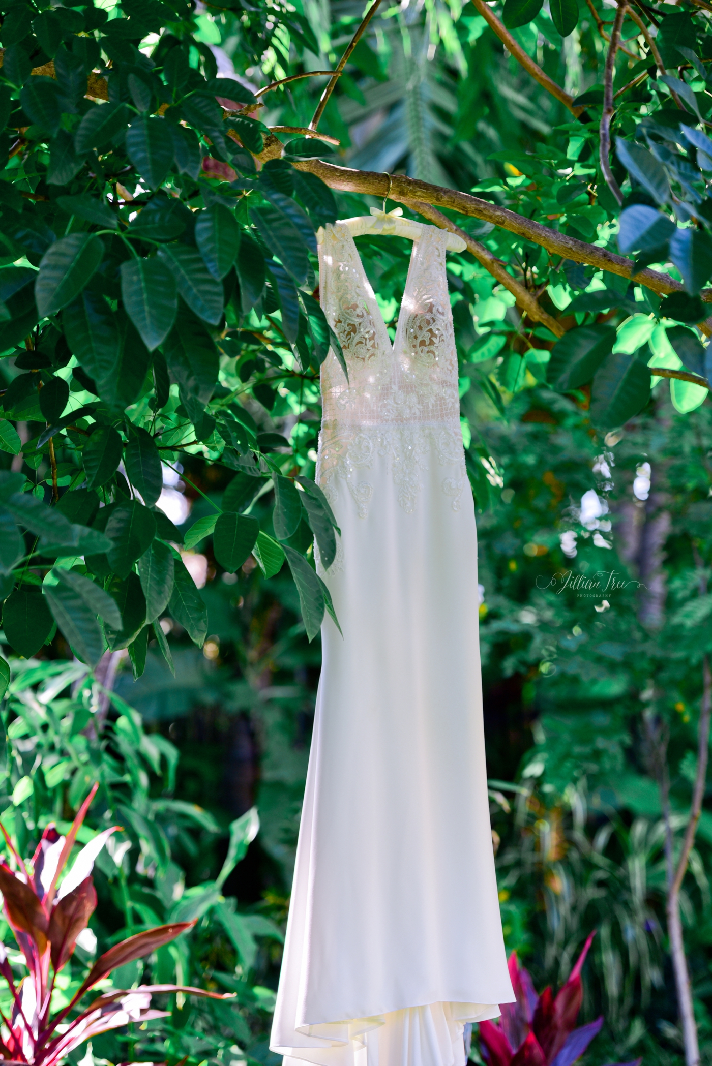 Miami Beach Botanical Gardens Wedding Dress